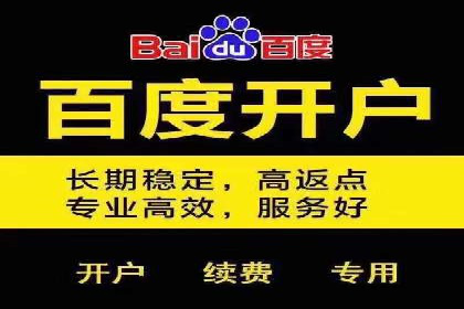 百度竞价广告的投放策略与成功案例分析
